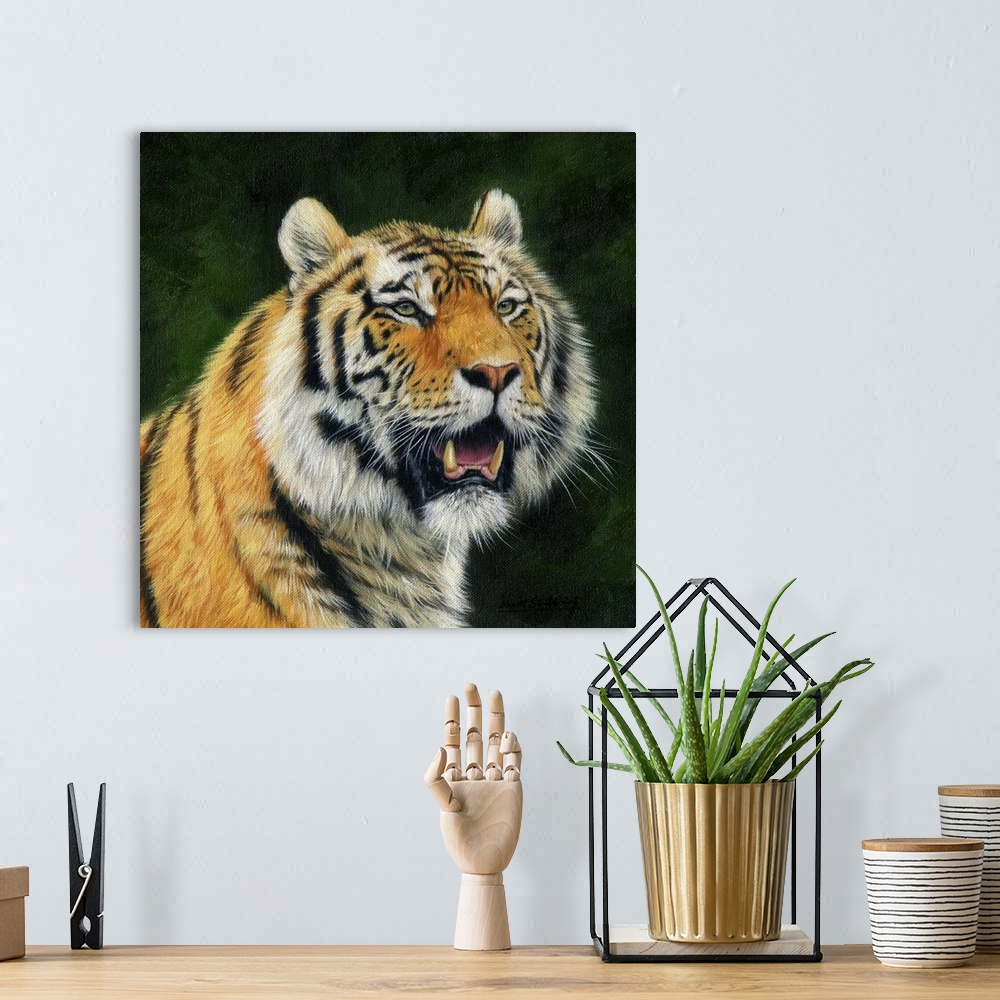 A bohemian room featuring Mature Amur Tiger (also known as Siberian Tiger), largest of the big cats. Oil on canvas.