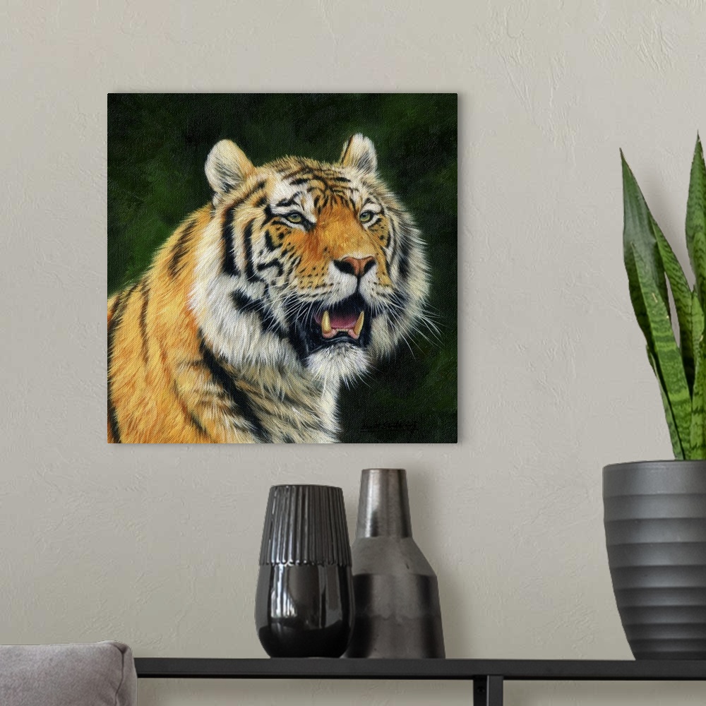A modern room featuring Mature Amur Tiger (also known as Siberian Tiger), largest of the big cats. Oil on canvas.