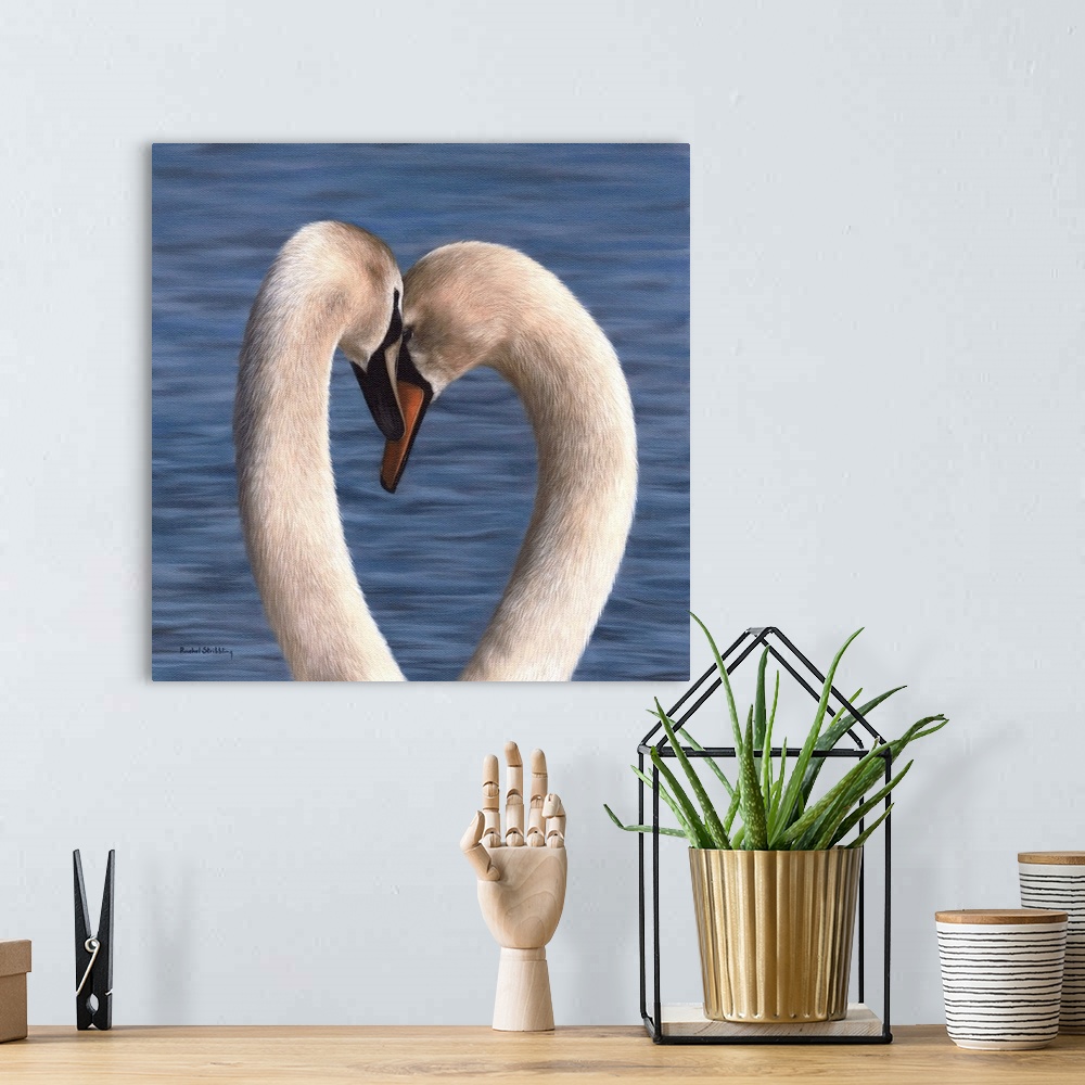 A bohemian room featuring Pair of mute swans embracing against a blue water background.