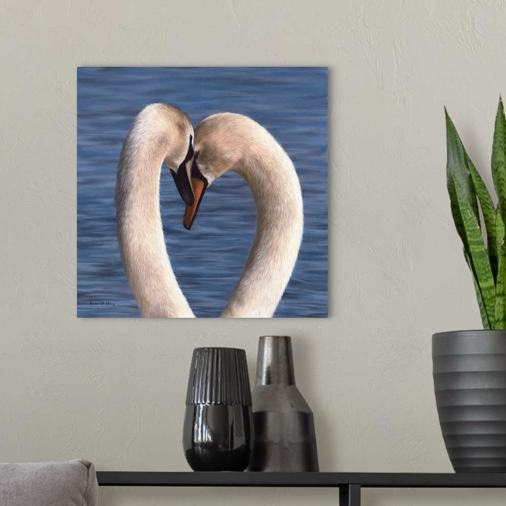 A modern room featuring Pair of mute swans embracing against a blue water background.