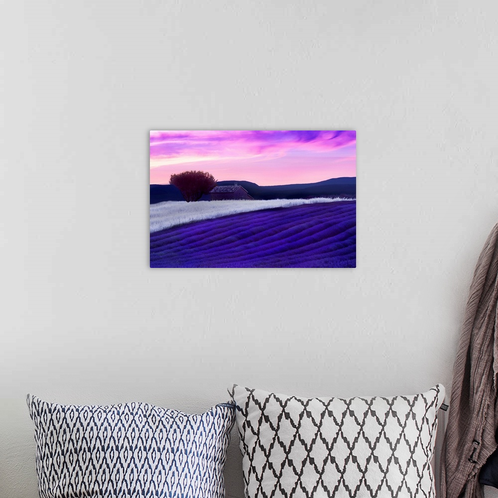A bohemian room featuring Horizontal photograph on a large wall hanging of rolling farmland with a building in the backgrou...