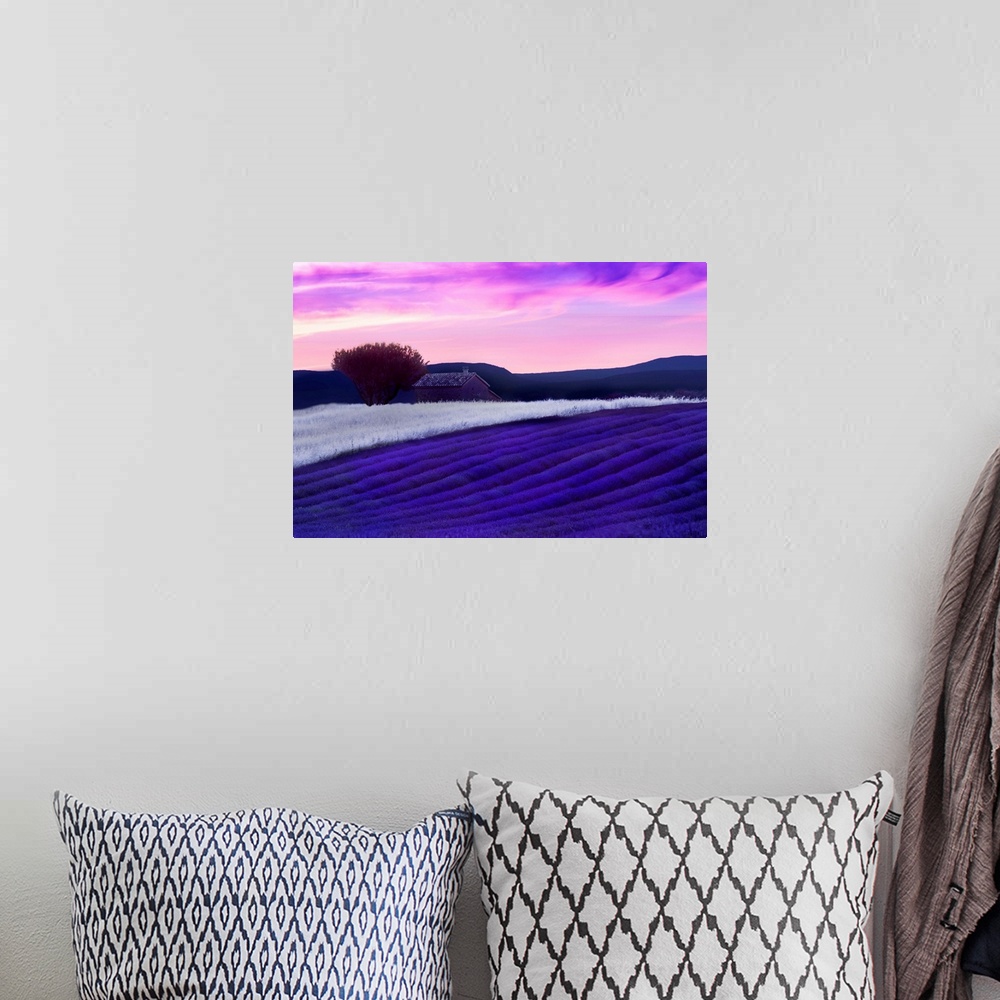 A bohemian room featuring Horizontal photograph on a large wall hanging of rolling farmland with a building in the backgrou...