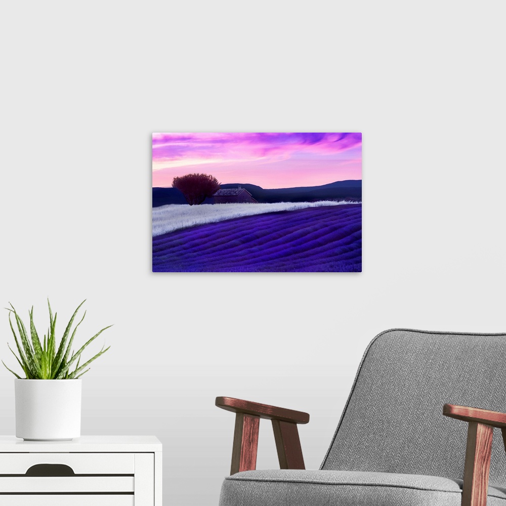 A modern room featuring Horizontal photograph on a large wall hanging of rolling farmland with a building in the backgrou...