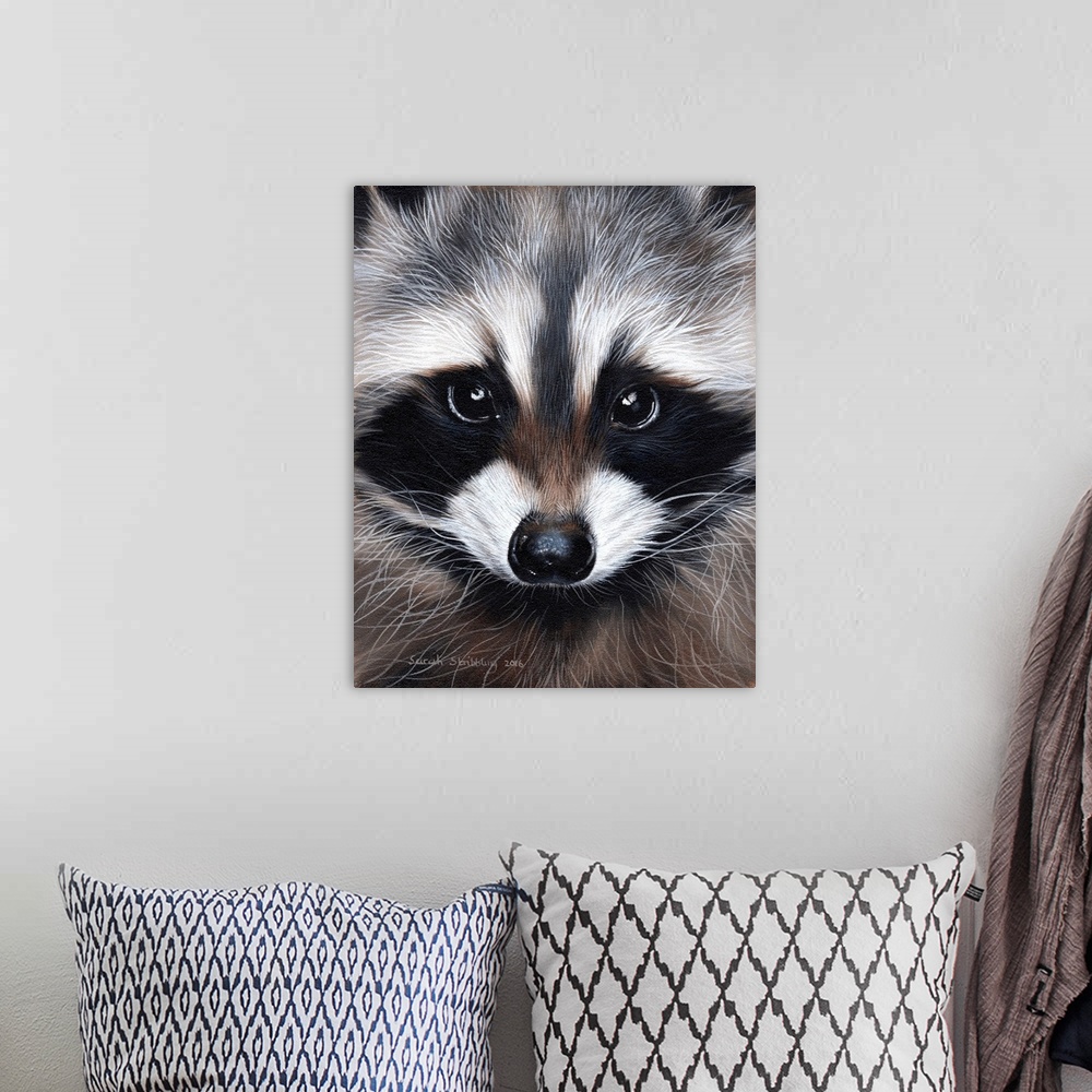 A bohemian room featuring Portrait of a cute raccoon with large eyes.