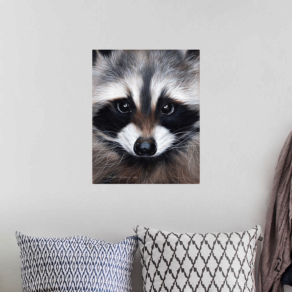 A bohemian room featuring Portrait of a cute raccoon with large eyes.