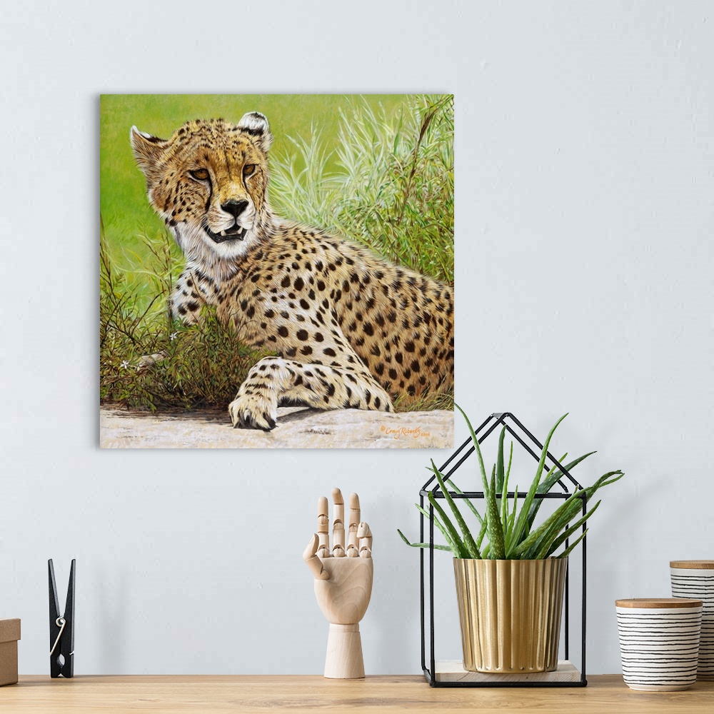 A bohemian room featuring Contemporary art of a cheetah laying in lush grass.