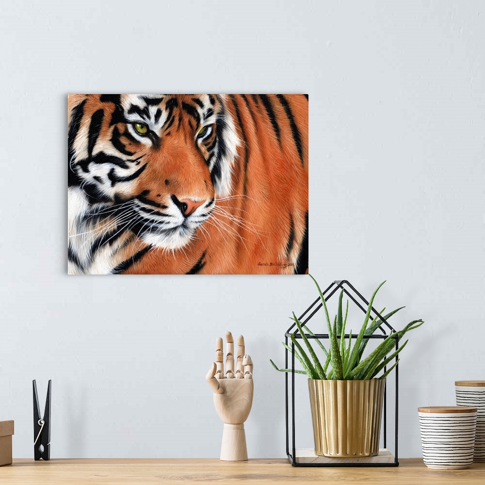 A bohemian room featuring Portrait of an intense-looking tiger.