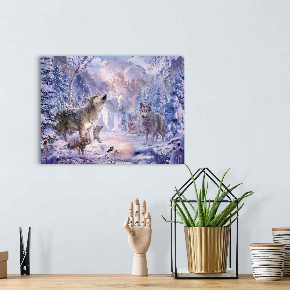 A bohemian room featuring Gray wolves standing around in a snow covered forest clearing in winter.