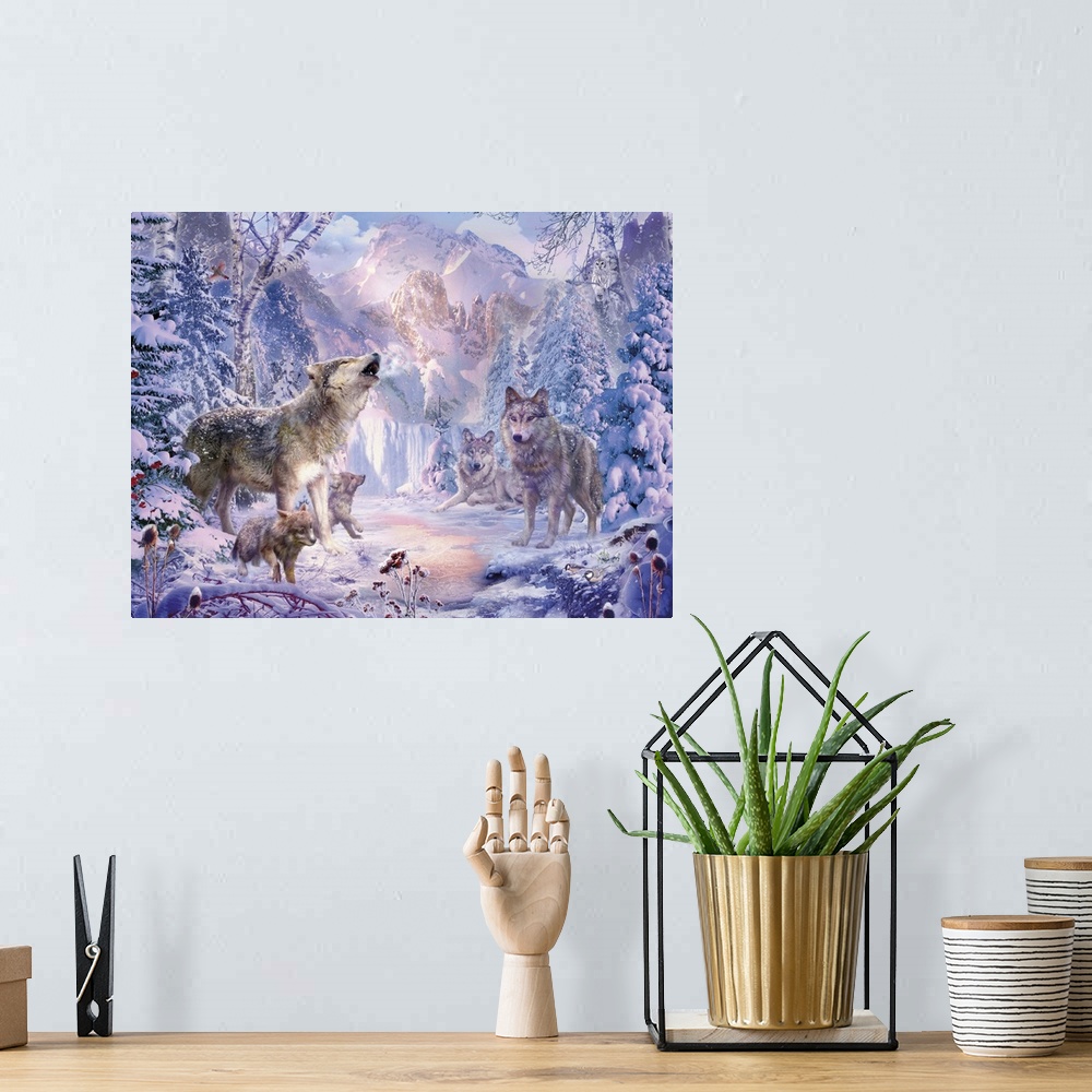 A bohemian room featuring Gray wolves standing around in a snow covered forest clearing in winter.