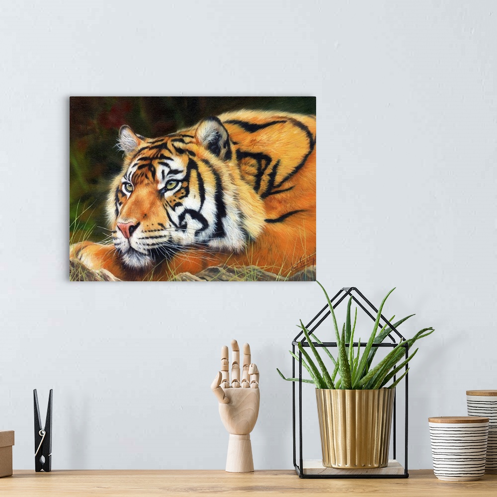 A bohemian room featuring Contemporary painting of a Sumatran tiger laying peacefully on the ground.