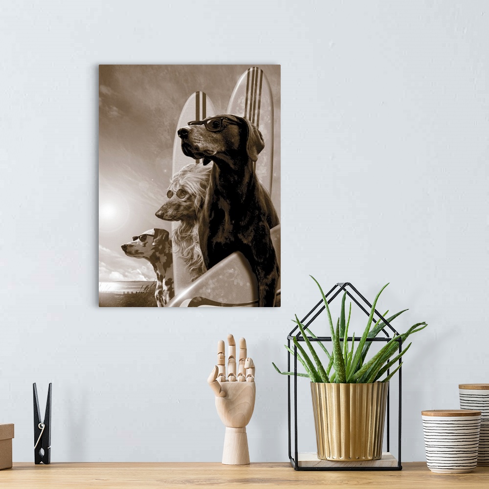 A bohemian room featuring Surfing Dogs