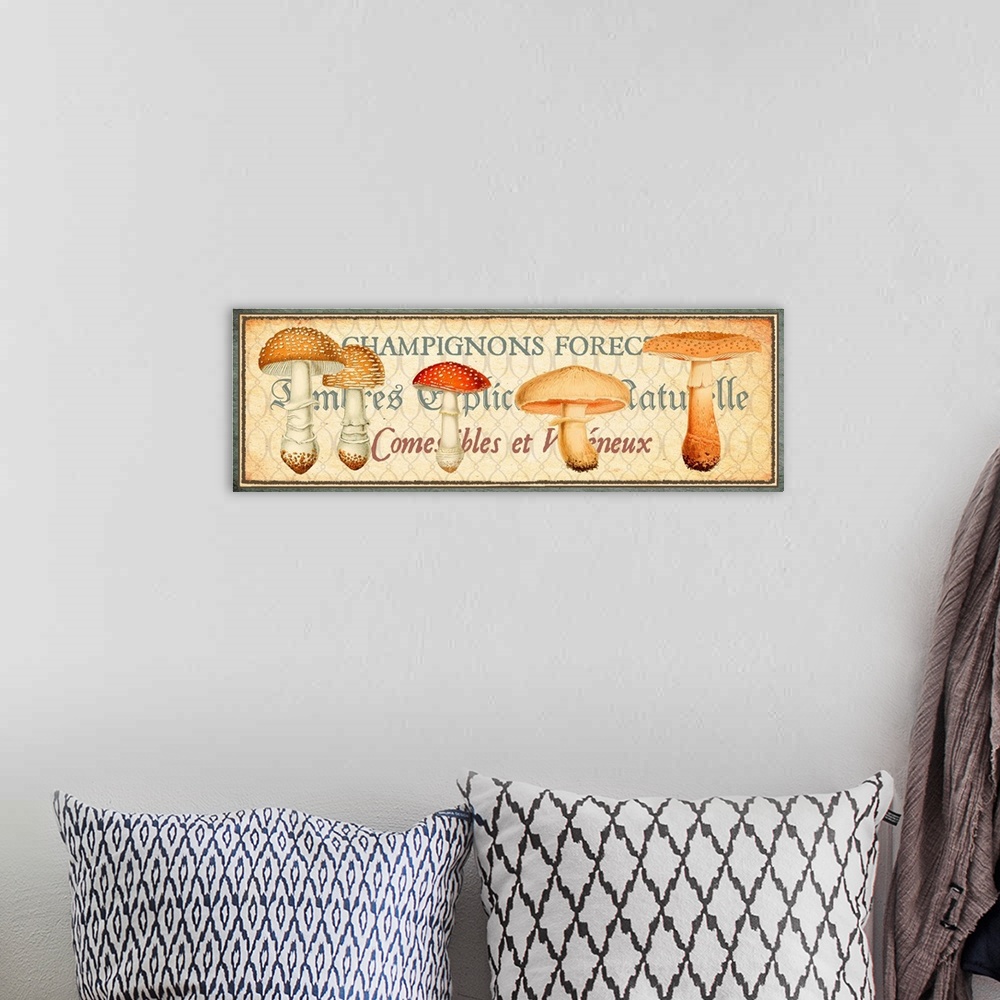 A bohemian room featuring Timbres Champignons - Horizontal I