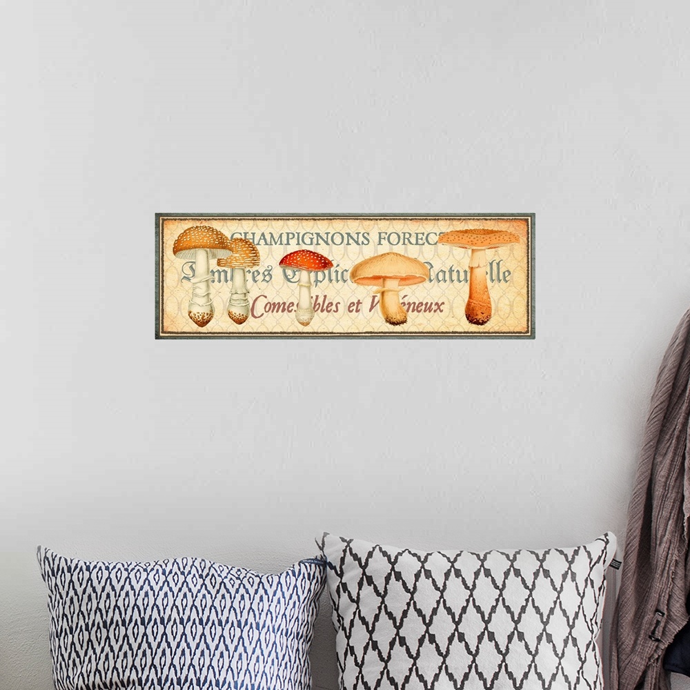 A bohemian room featuring Timbres Champignons - Horizontal I