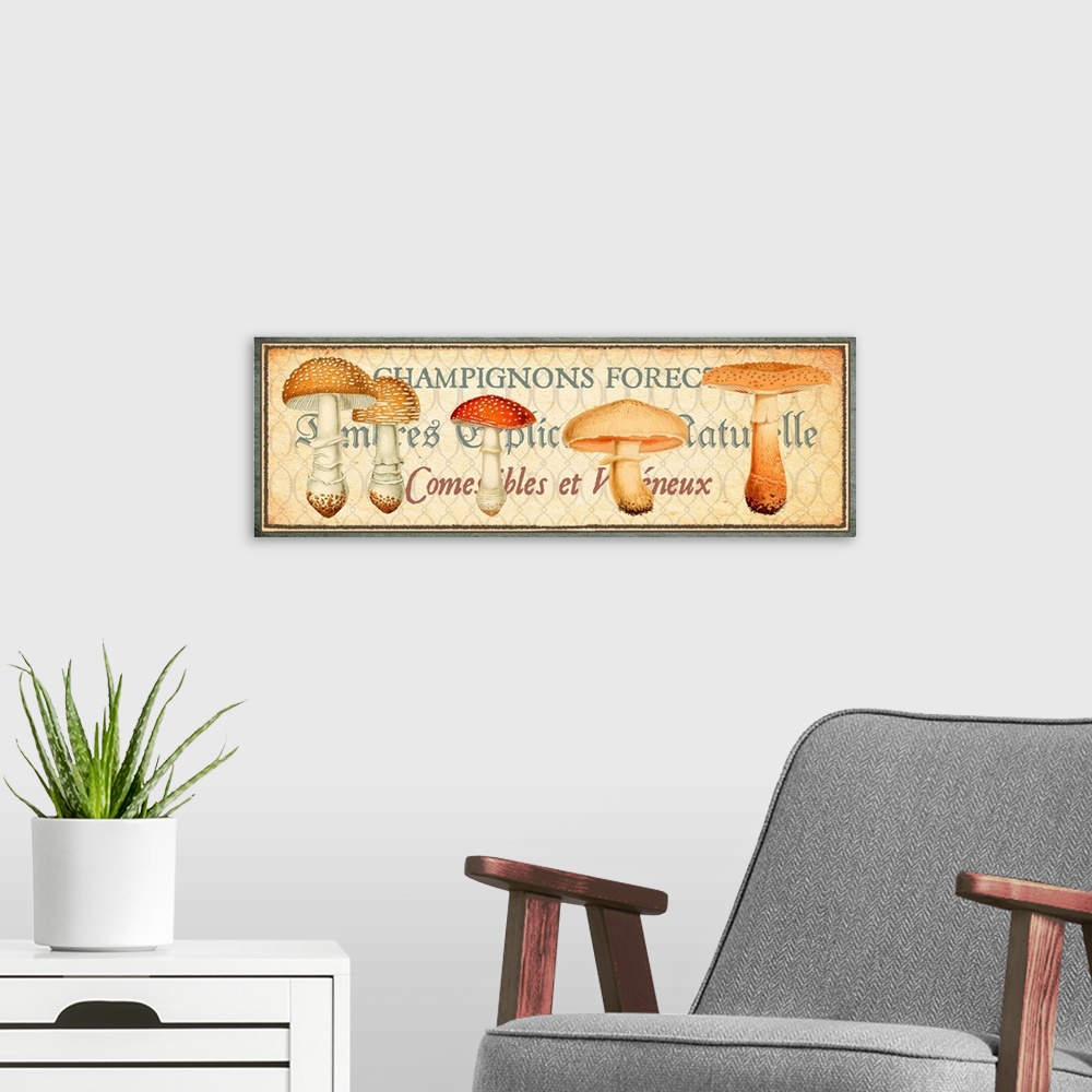 A modern room featuring Timbres Champignons - Horizontal I
