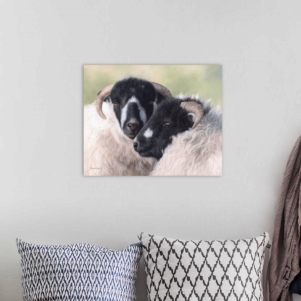 A bohemian room featuring Pair of sheep, with black and white faces