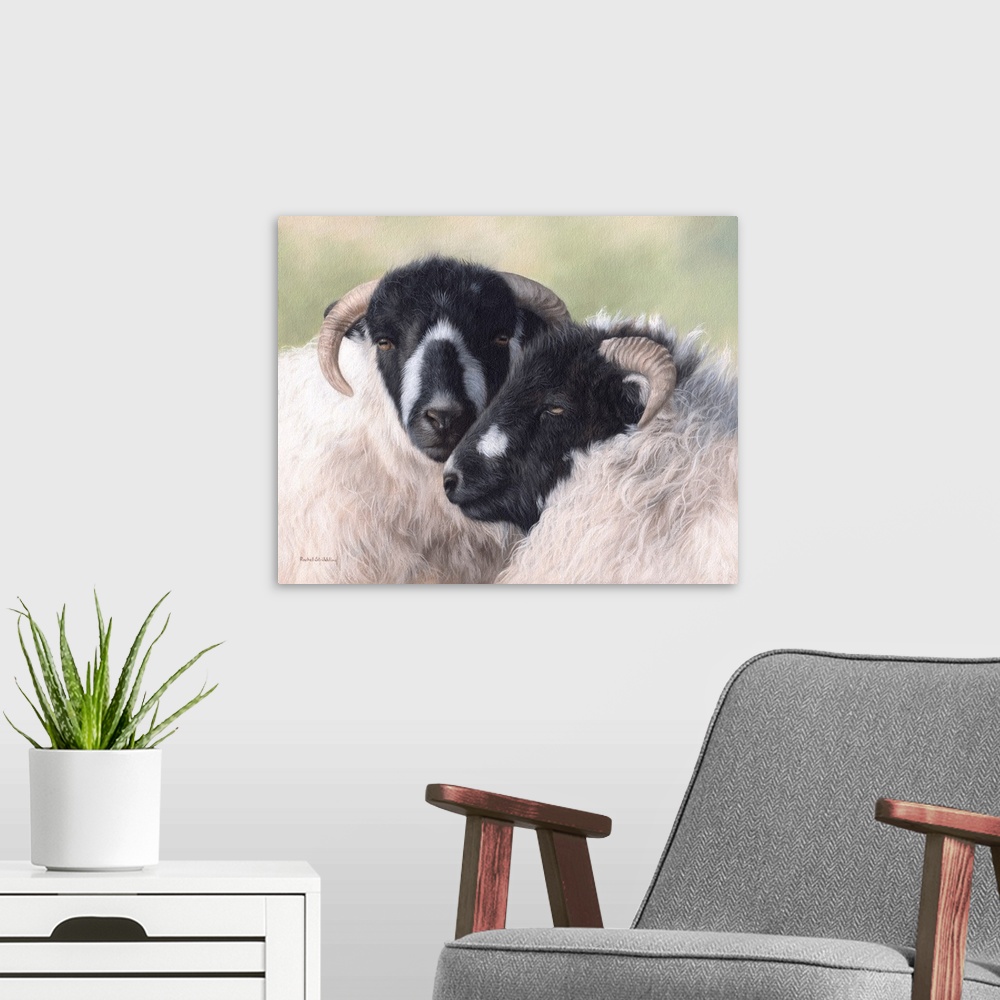 A modern room featuring Pair of sheep, with black and white faces
