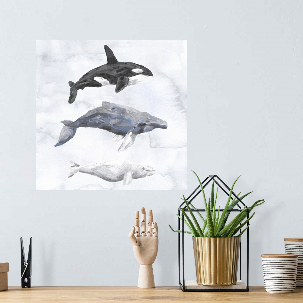 A bohemian room featuring 3 Whales 1