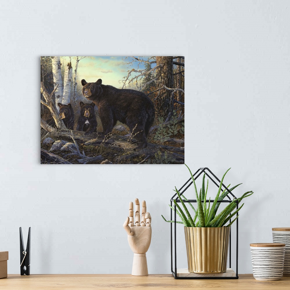 A bohemian room featuring Absolutely Wild Black Bear