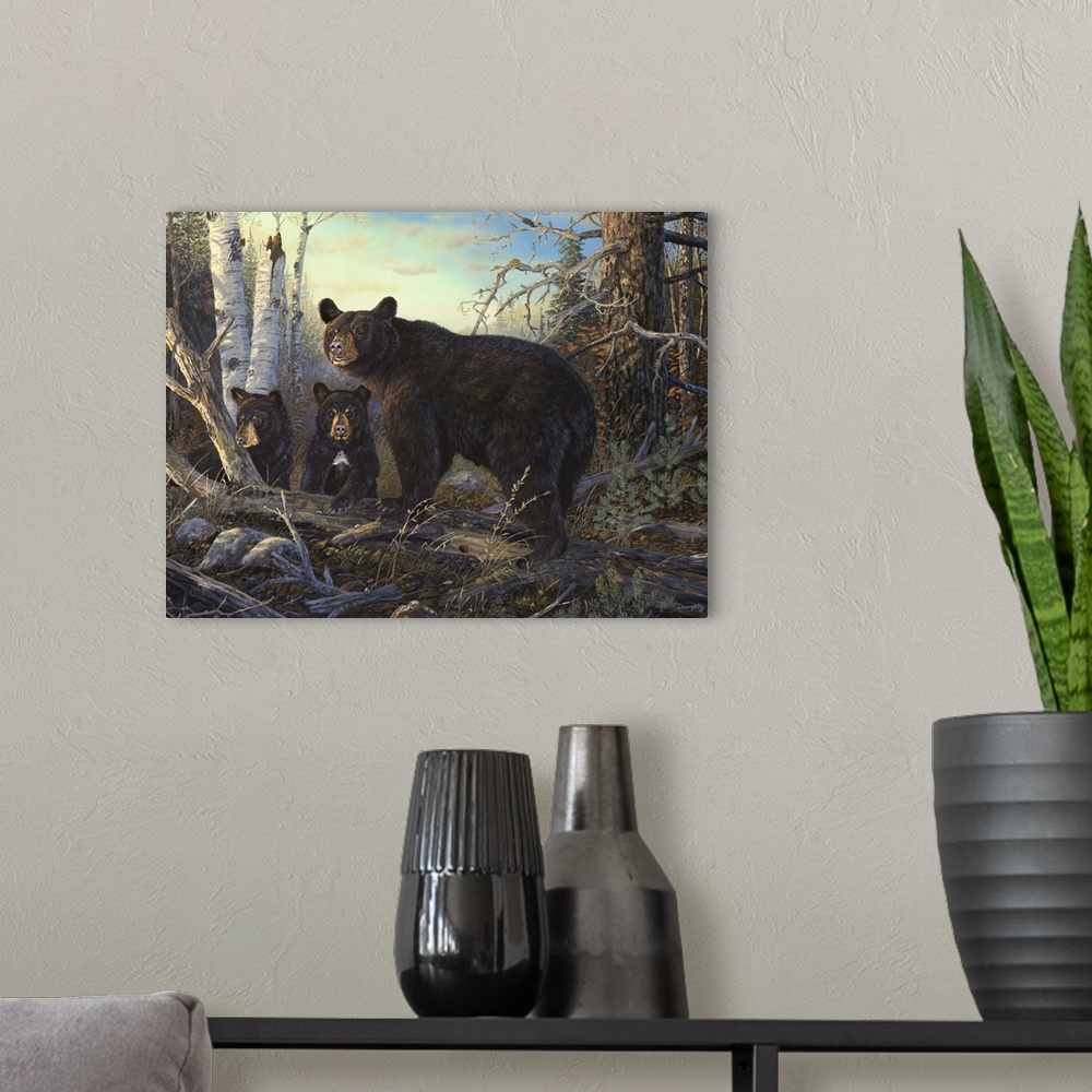 A modern room featuring Absolutely Wild Black Bear