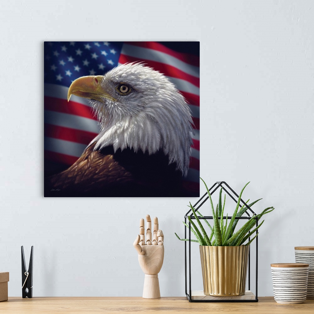 A bohemian room featuring American Bald Eagle