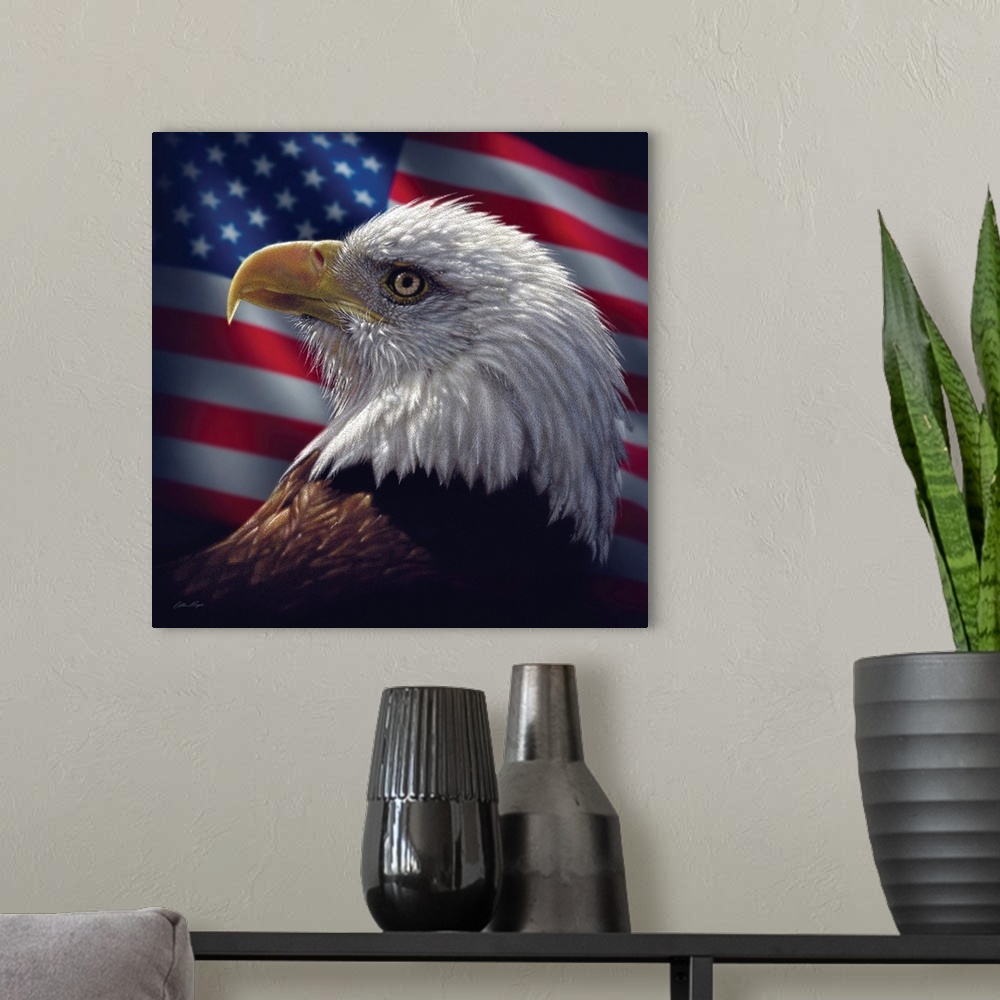 A modern room featuring American Bald Eagle