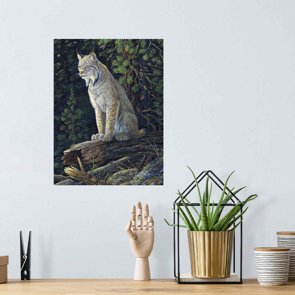 A bohemian room featuring A lynx sitting on a log in a forest.