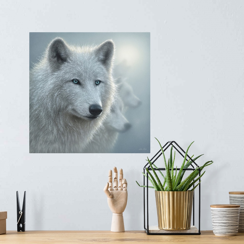 A bohemian room featuring Arctic Wolves - Whiteout