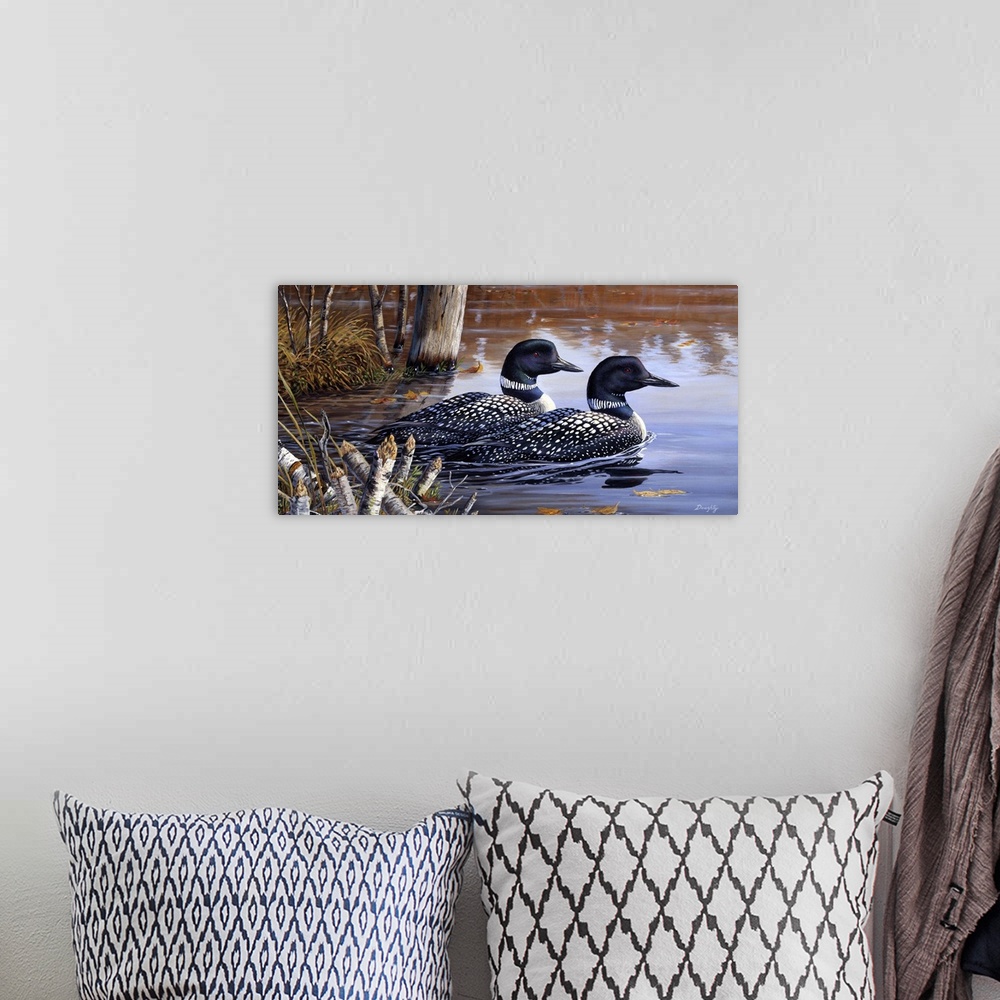 A bohemian room featuring A pair of loons swimming on the water.