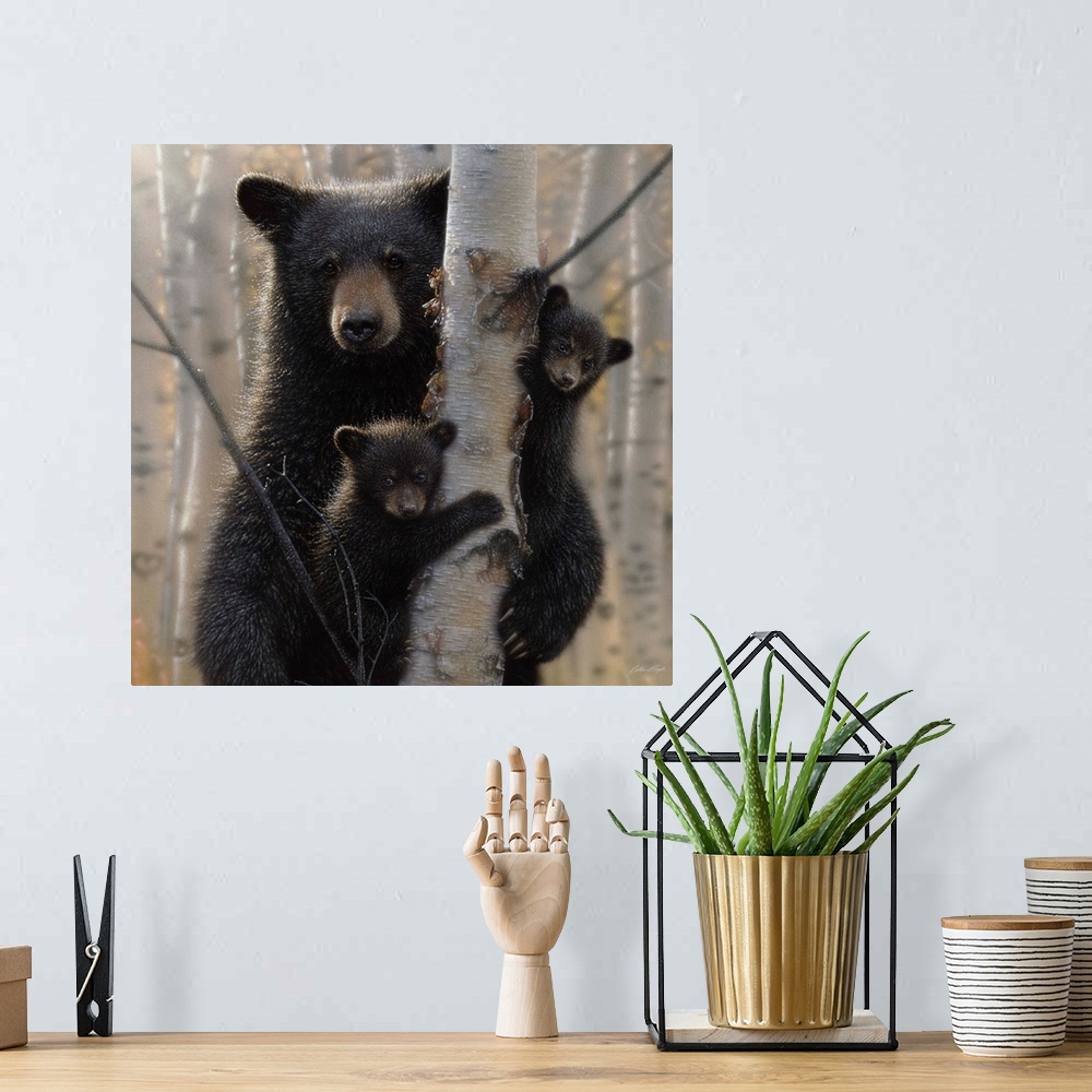 A bohemian room featuring Black Bear Mother and Cubs - Mama Bear