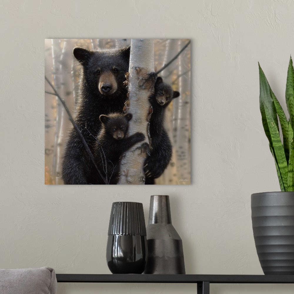 A modern room featuring Black Bear Mother and Cubs - Mama Bear