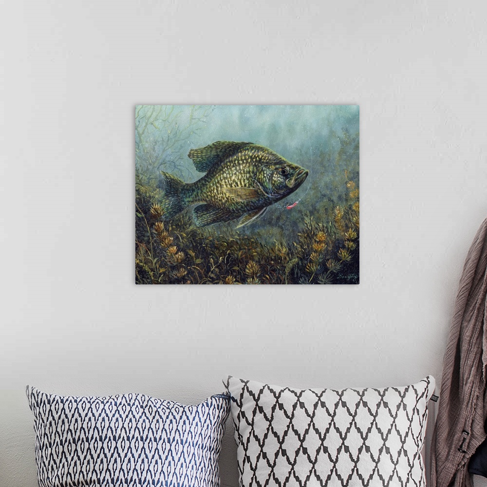 A bohemian room featuring Black Crappie