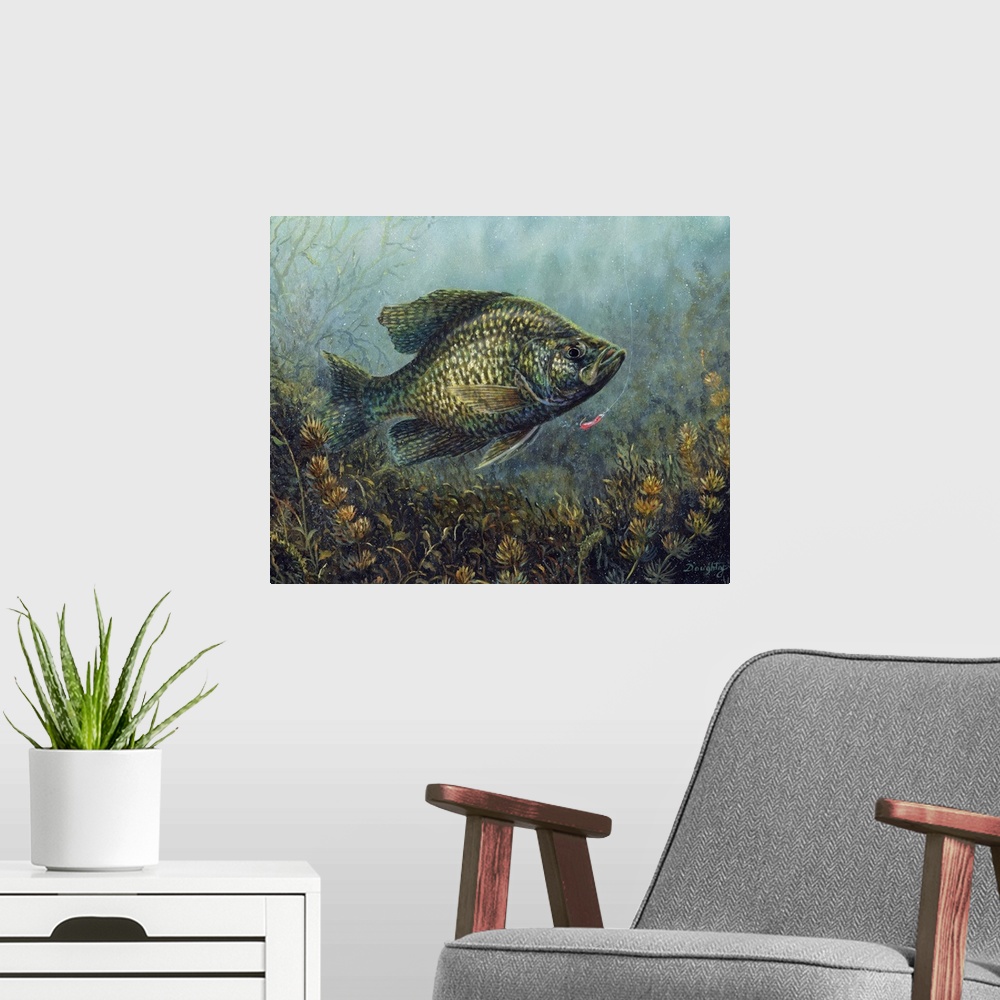 A modern room featuring Black Crappie