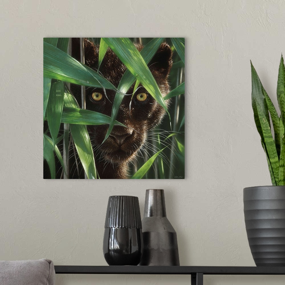 A modern room featuring Black Panther - Wild Eyes