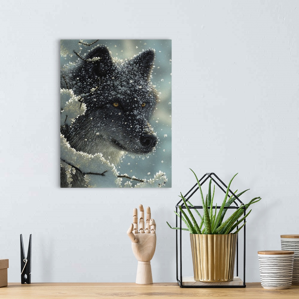 A bohemian room featuring Black Wolf - Black in White