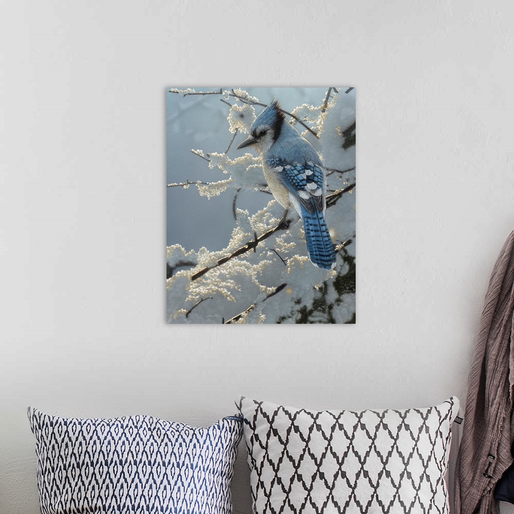 A bohemian room featuring Blue Jay - On the Fence