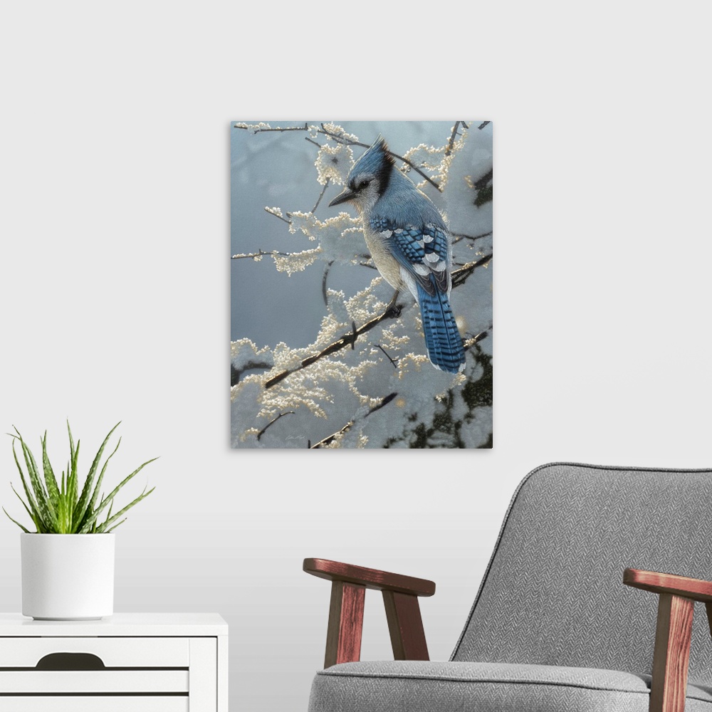 A modern room featuring Blue Jay - On the Fence