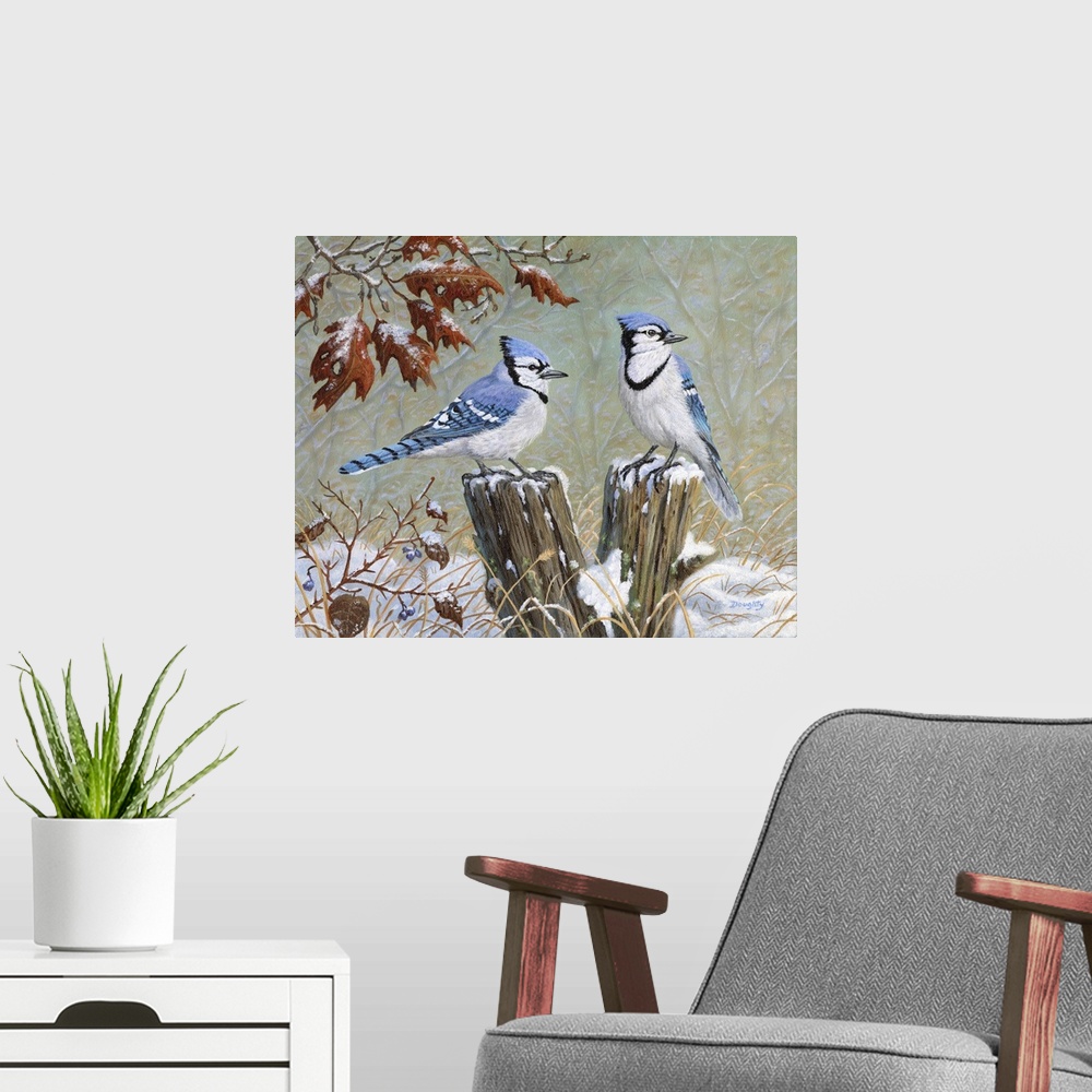 A modern room featuring Blue Jays