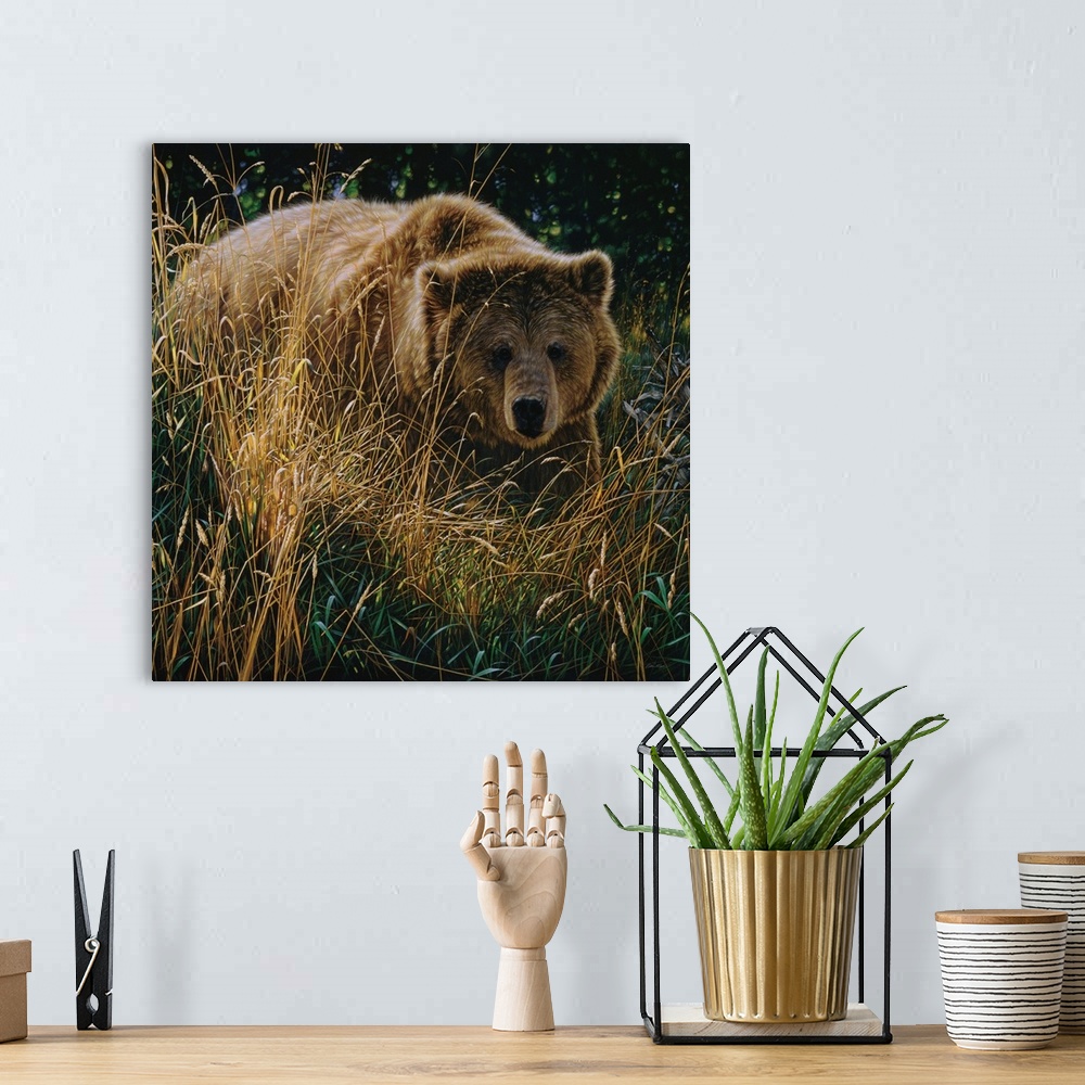 A bohemian room featuring Brown Bear - Crossing Paths