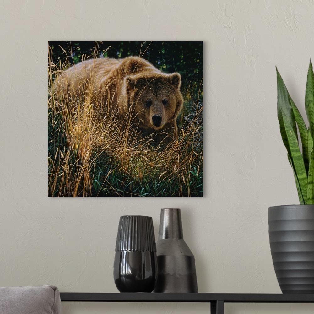 A modern room featuring Brown Bear - Crossing Paths
