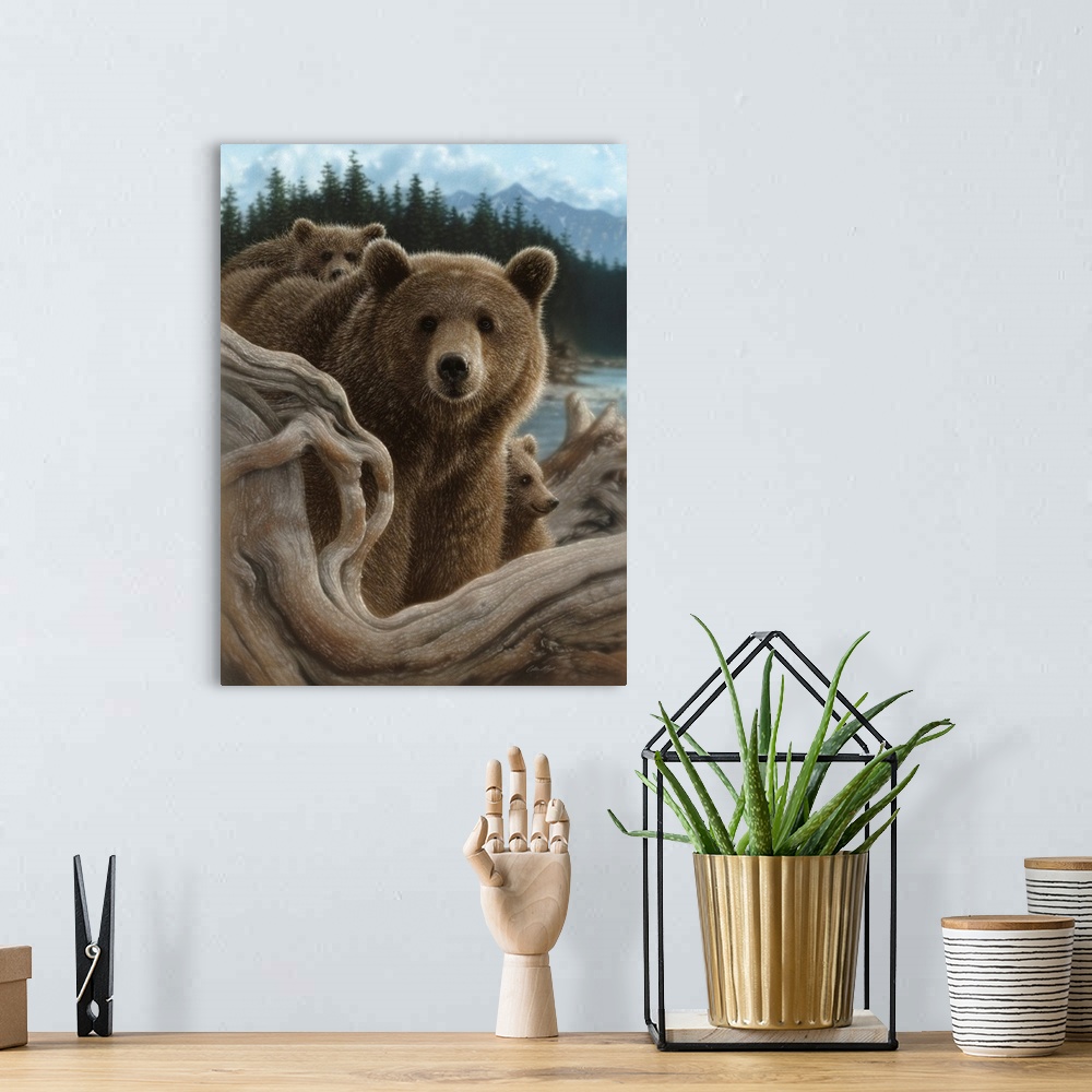 A bohemian room featuring Brown Bears - Backpacking