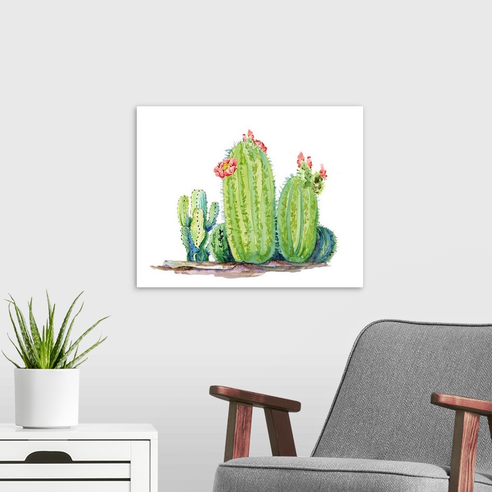 A modern room featuring Cactus 5