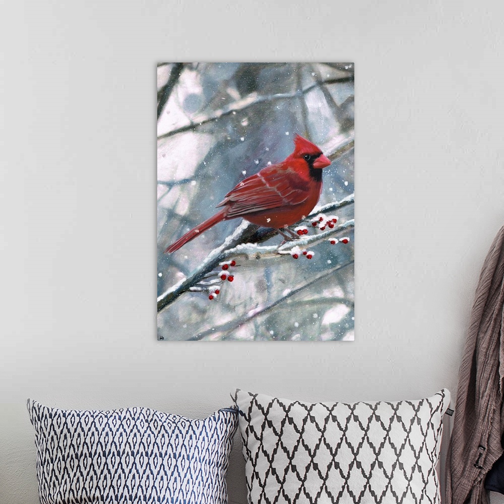A bohemian room featuring Cardinal Snow