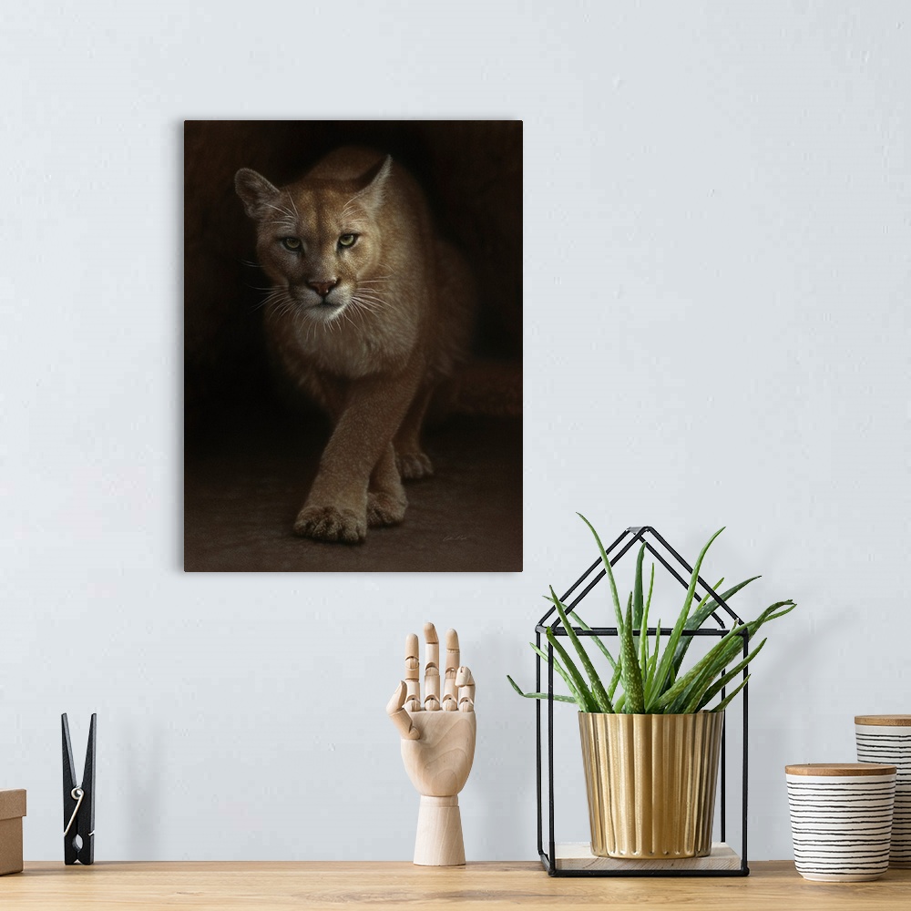 A bohemian room featuring Cougar - Emergence