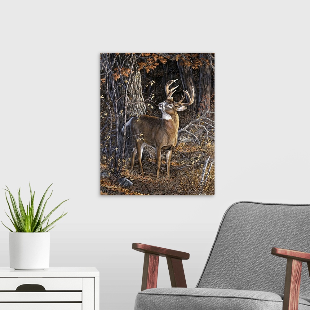 A modern room featuring Deer Nibble