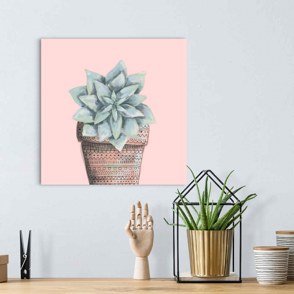 A bohemian room featuring Desert Succulent 9