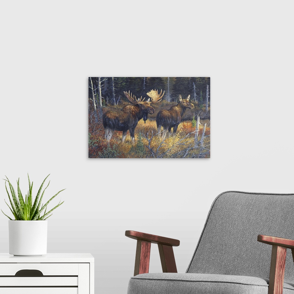 A modern room featuring Contemporary artwork of a moose bull and cow walking together in a forest in the fall.