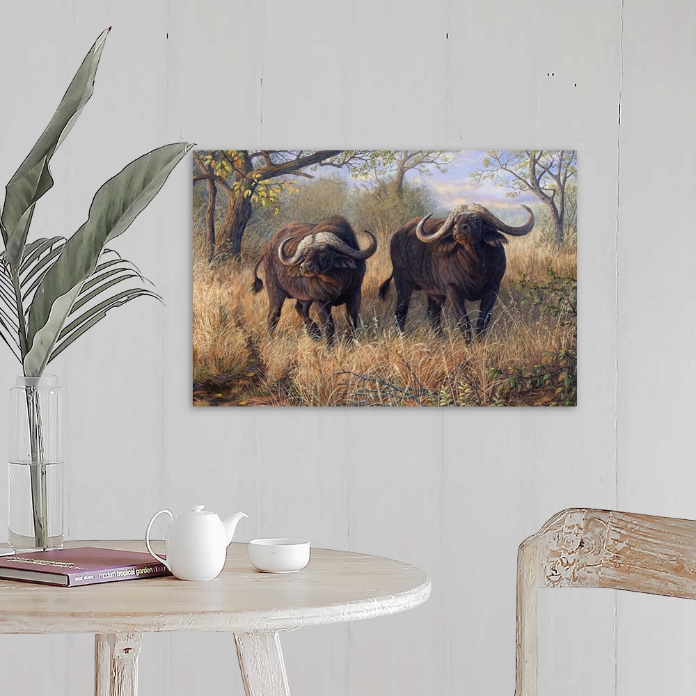 A farmhouse room featuring Artwork of a pair of African buffalo walking through tall brush.