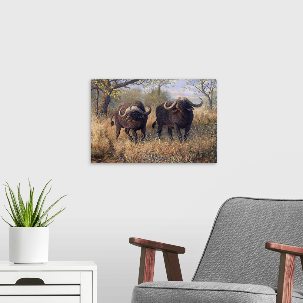 A modern room featuring Artwork of a pair of African buffalo walking through tall brush.