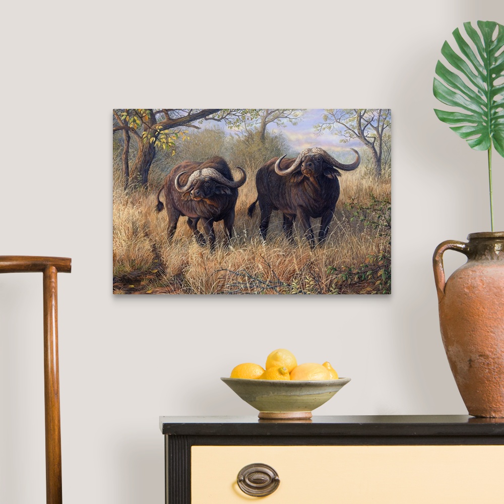 A traditional room featuring Artwork of a pair of African buffalo walking through tall brush.