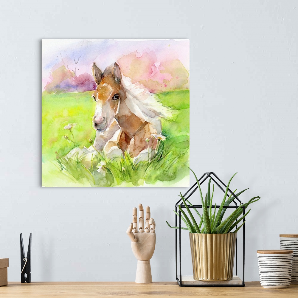 A bohemian room featuring Foal